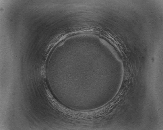 X0000081470002200701121431