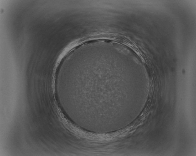 X0000081470006200701121431