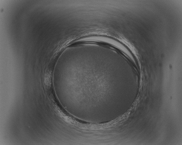 X0000081470009200701121431