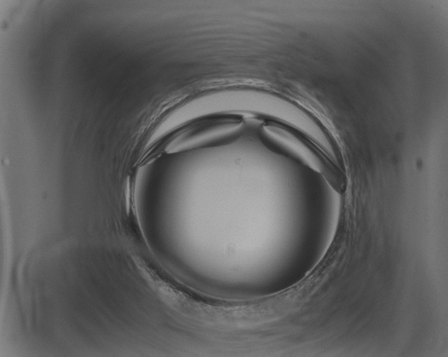 X0000081470013200701121431