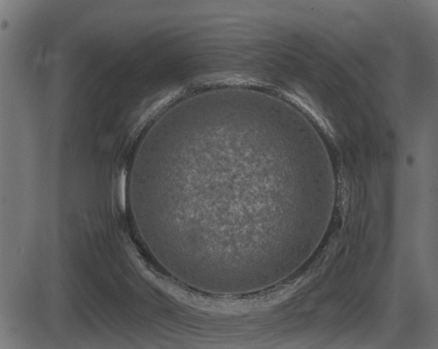 X0000081470014200701121431