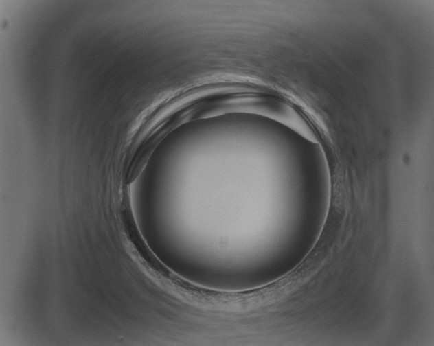 X0000081470015200701121431