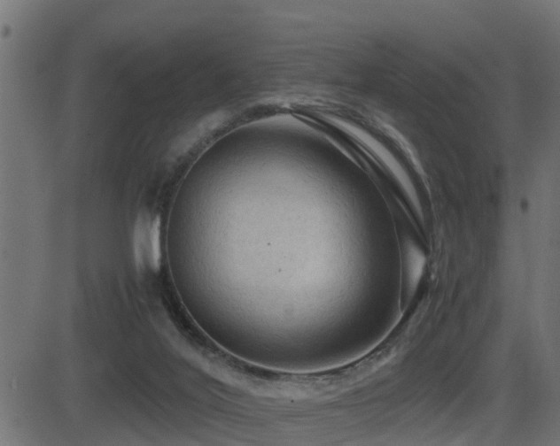 X0000081470020200701121431