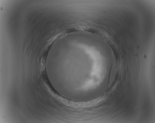 X0000081470043200701121430
