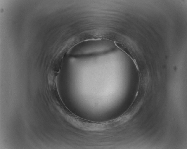 X0000081470044200701121430