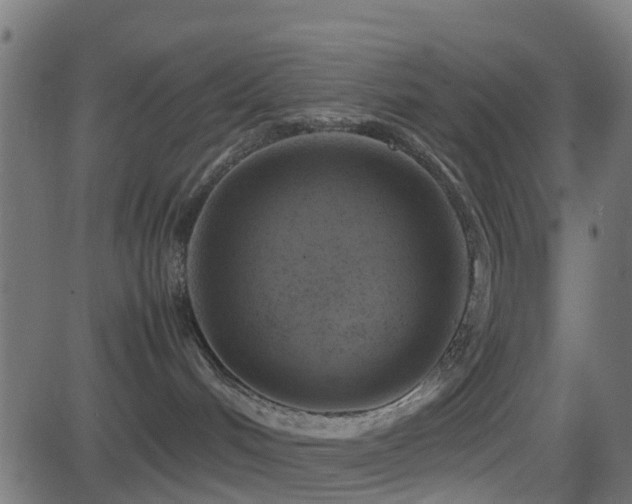 X0000081470048200701121430