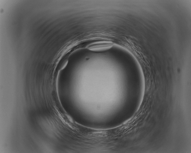X0000081470050200701121429