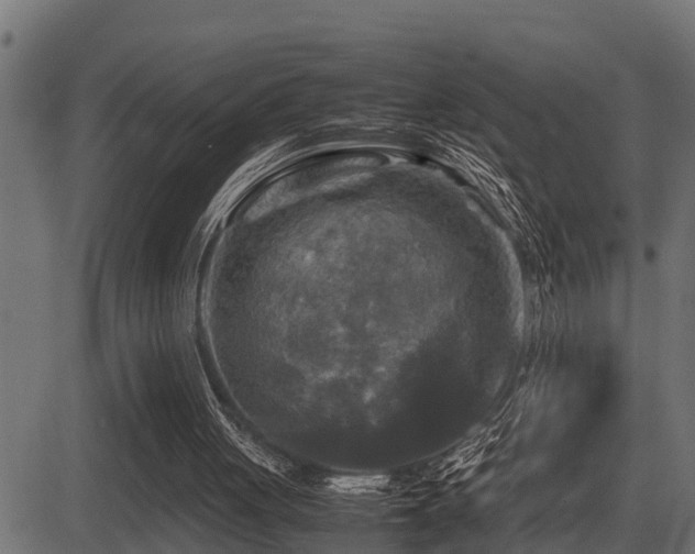 X0000081470051200701121429