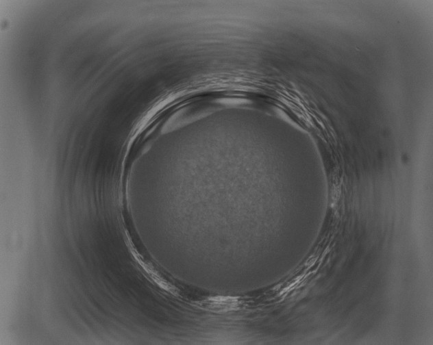 X0000081470052200701121429