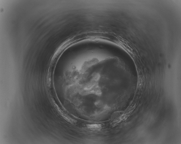 X0000081470053200701121429