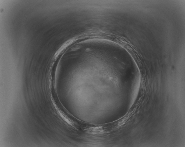 X0000081470054200701121429