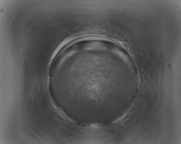 X0000081470056200701121429