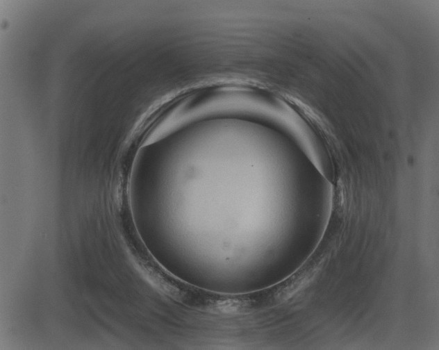 X0000081470064200701121430