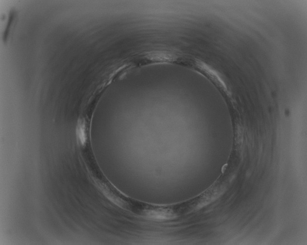 X0000081470069200701121430