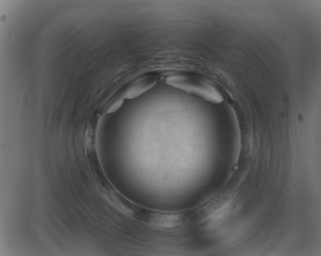 X0000081470081200701121430