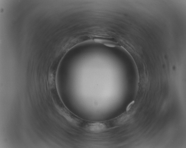 X0000081470087200701121430