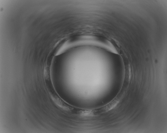 X0000081470088200701121430