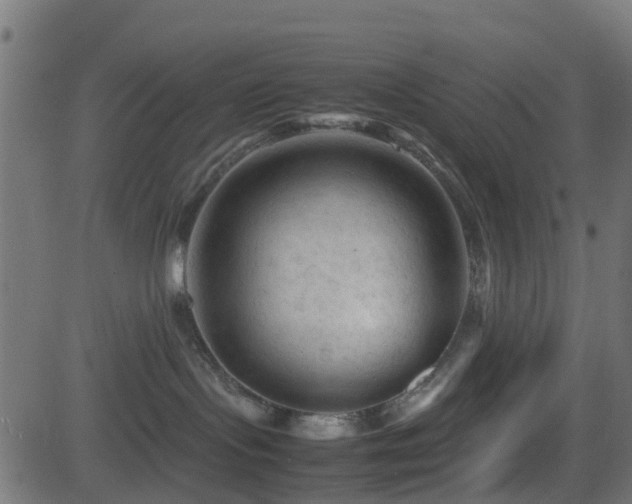X0000081470095200701121430