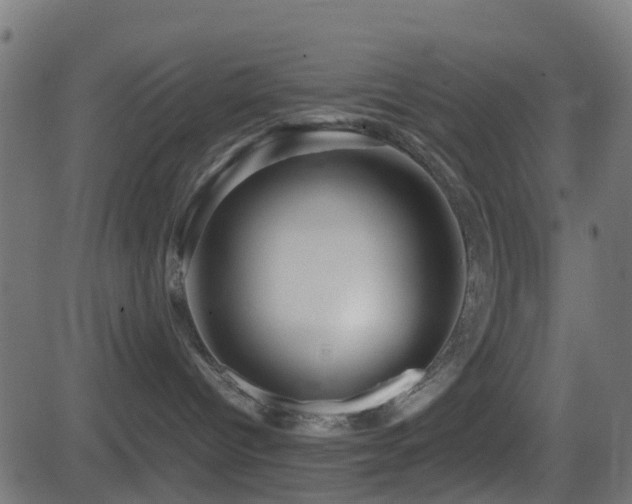 X0000081470096200701121430