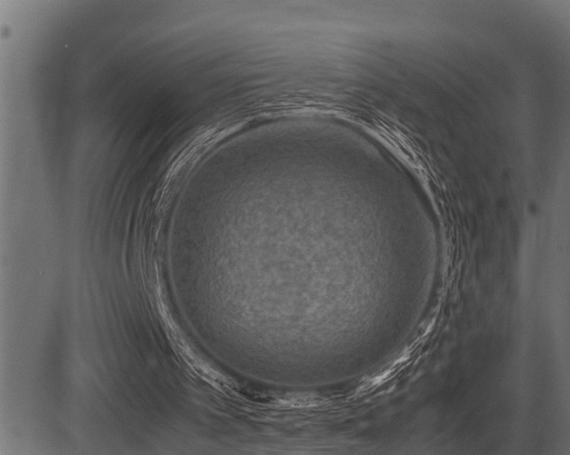 X0000081470097200701121429