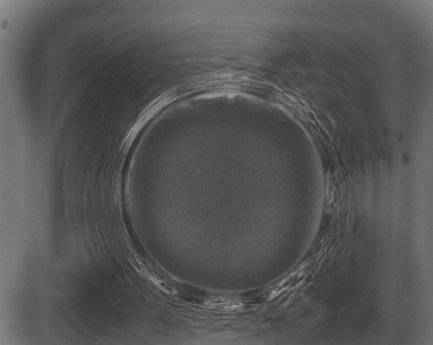 X0000081470099200701121429
