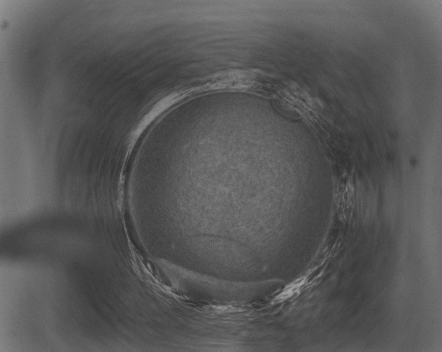 X0000081470100200701121429