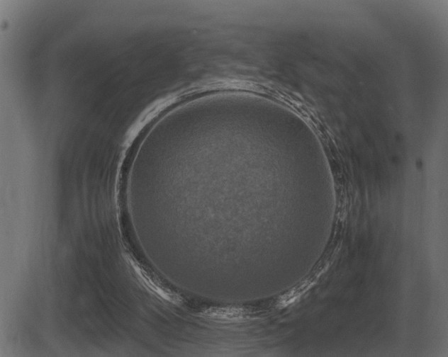 X0000081470104200701121429
