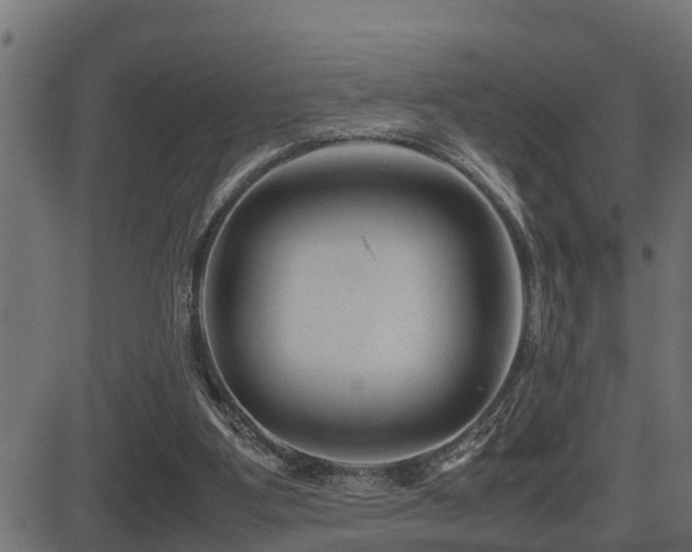 X0000081470107200701121429
