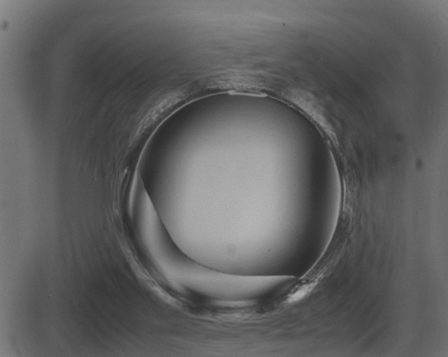 X0000081470109200701121429