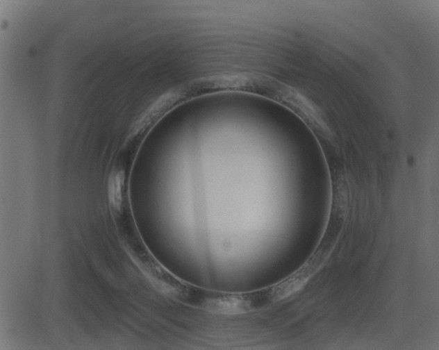 X0000081470118200701121429
