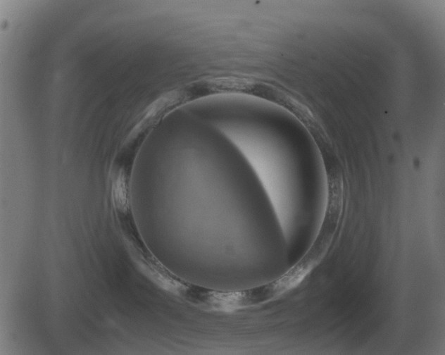 X0000081470143200701121429