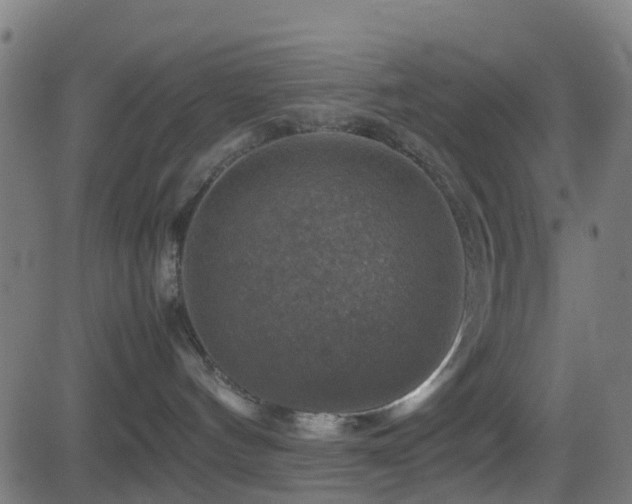 X0000081470144200701121429