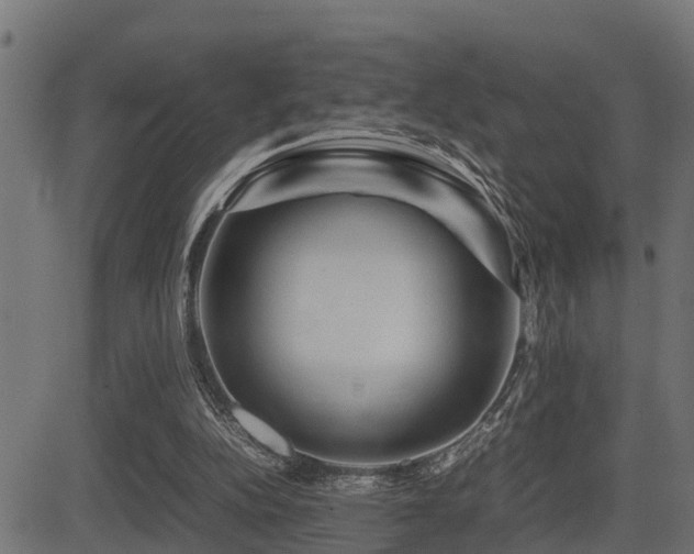 X0000081470152200701121428