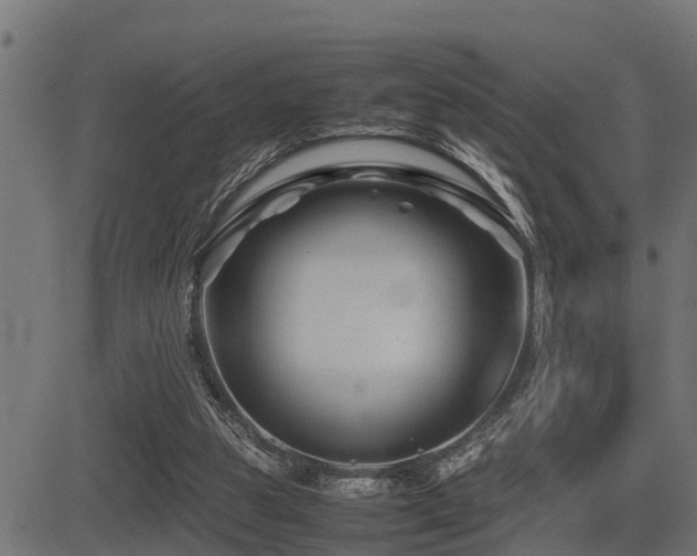 X0000081470153200701121428
