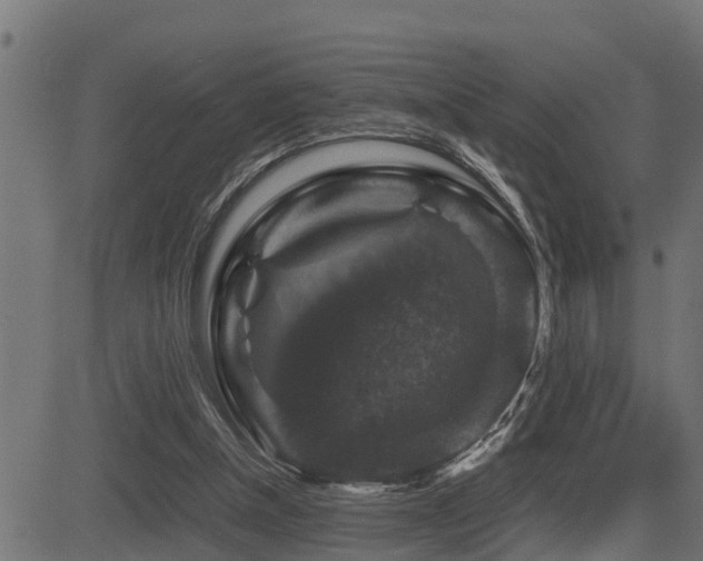X0000081470154200701121428