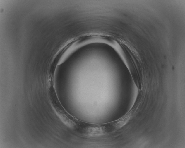 X0000081470160200701121428
