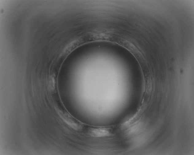 X0000081470183200701121428