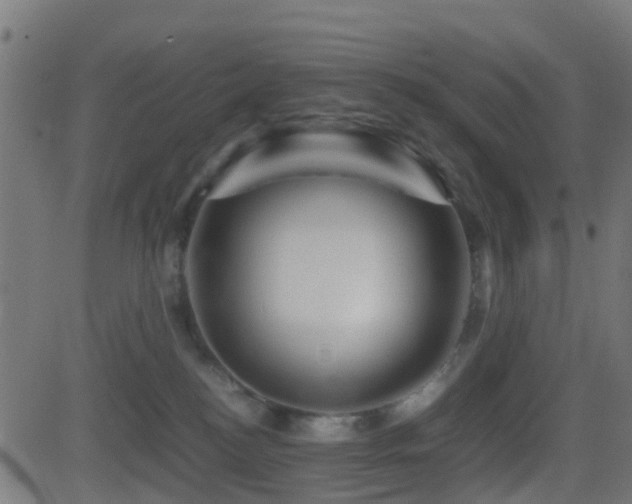 X0000081470184200701121428