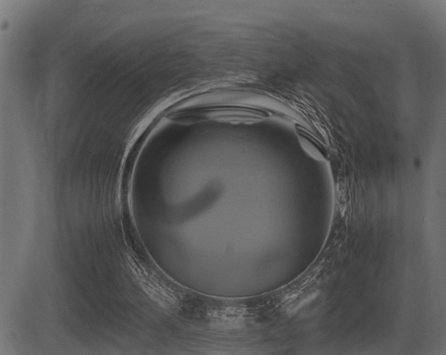 X0000081470196200701121428