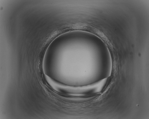 X0000081470201200701121428