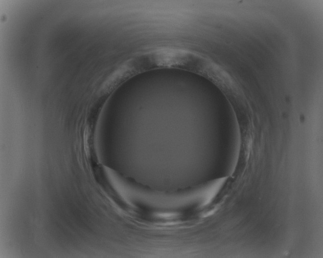 X0000081470219200701121427