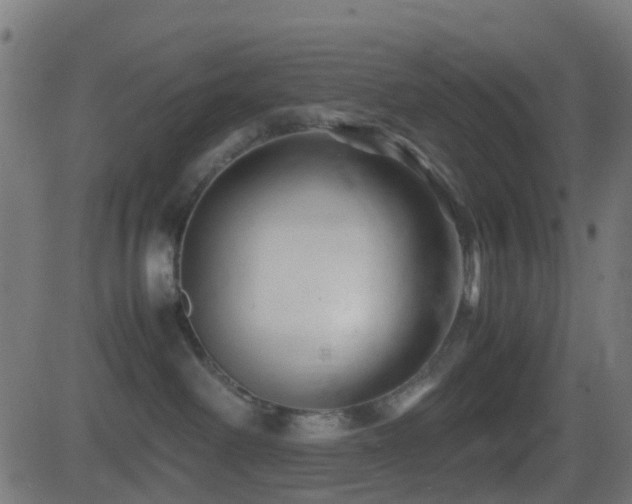 X0000081470238200701121427