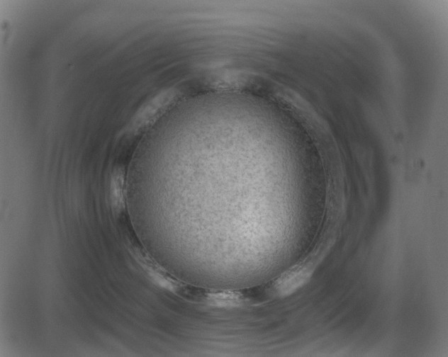 X0000081470240200701121427