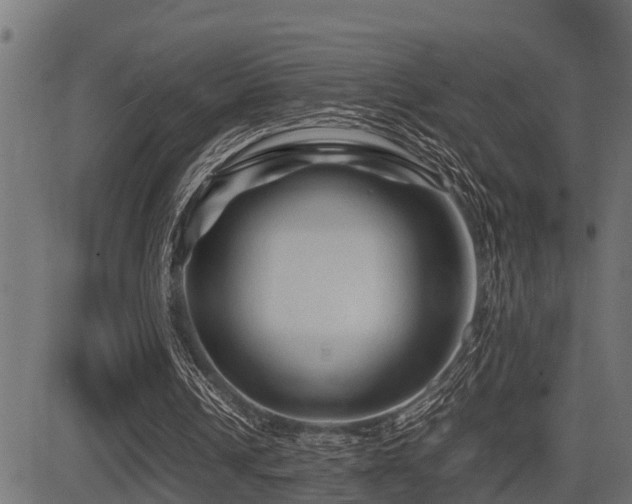 X0000081470242200701121426