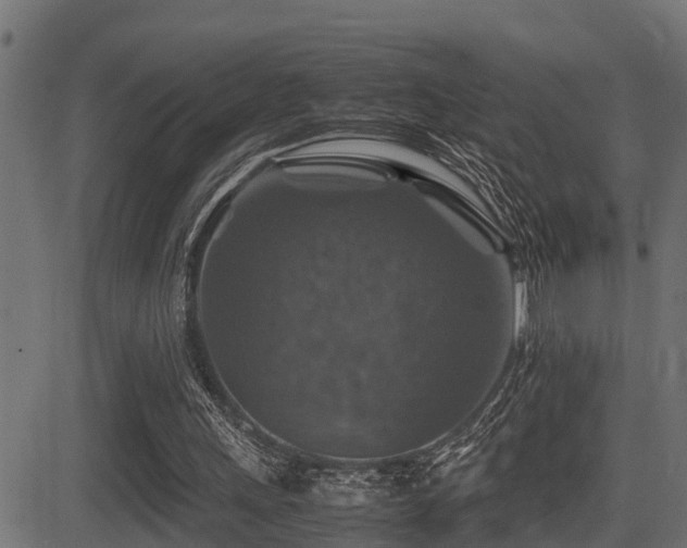 X0000081470243200701121426