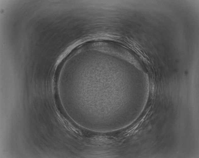 X0000081470244200701121426