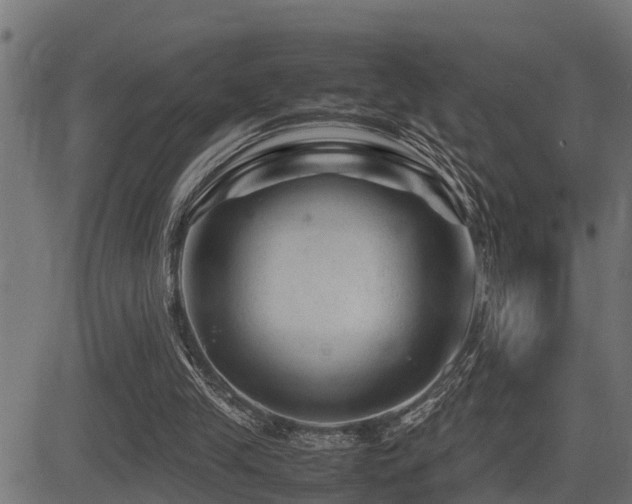X0000081470245200701121426