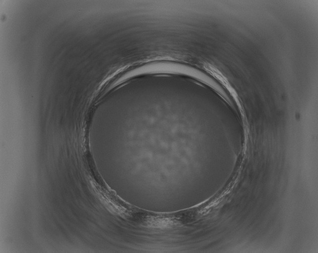 X0000081470249200701121426