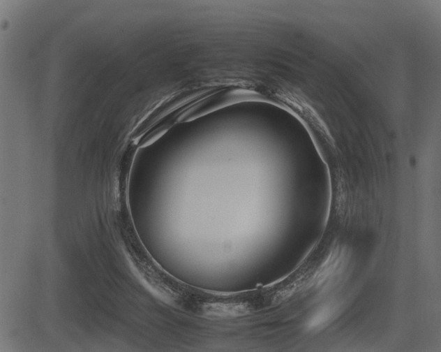 X0000081470251200701121426