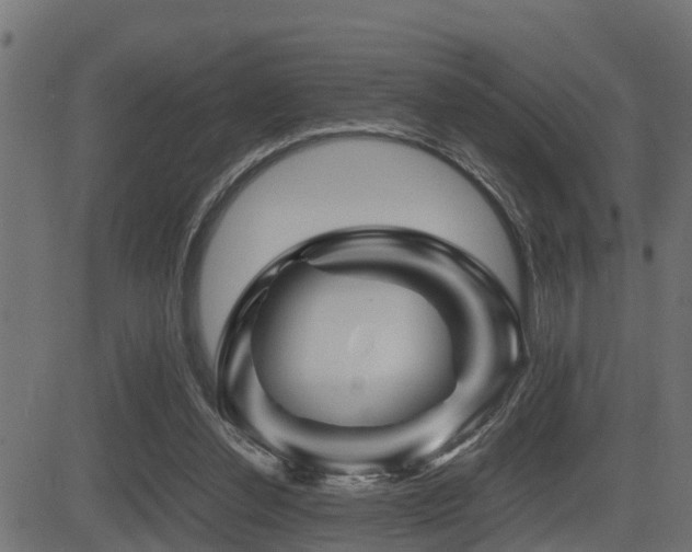 X0000081470252200701121426